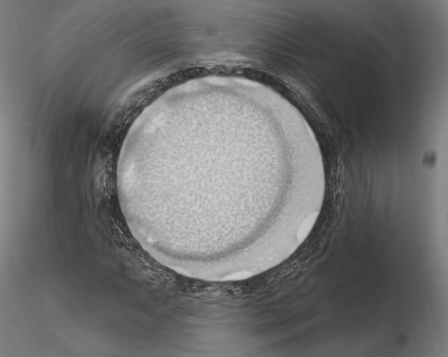 X0000114631063200912011020