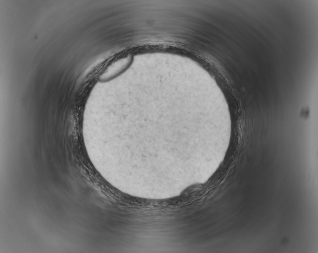 X0000114631064200912011020