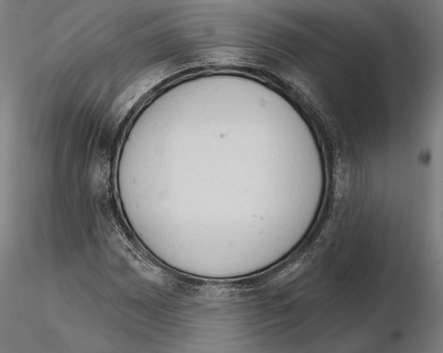 X0000114631065200912011020