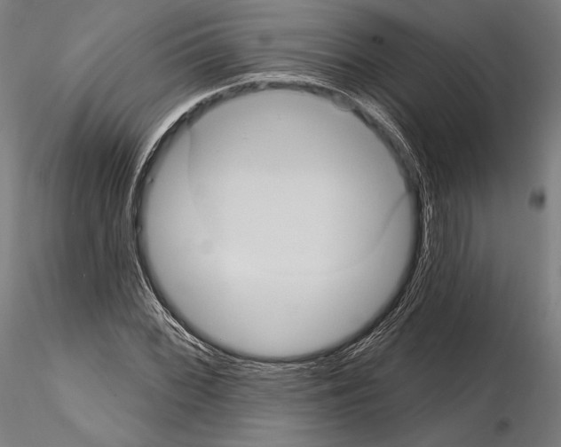 X0000114631068200912011020