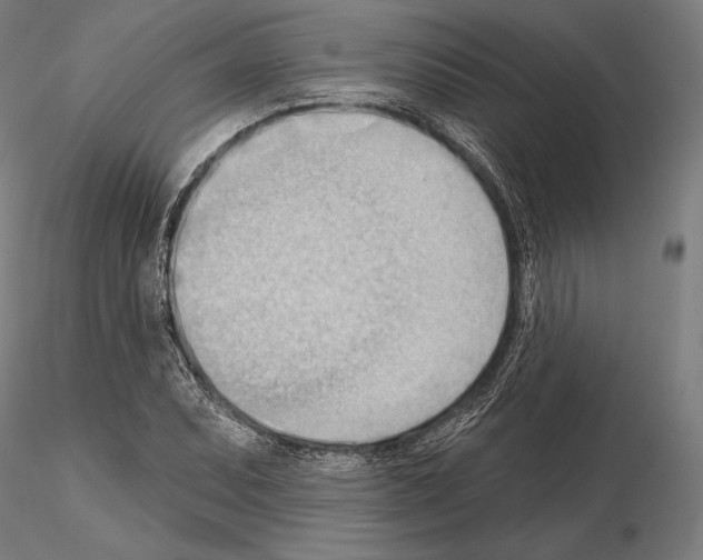 X0000114631071200912011019