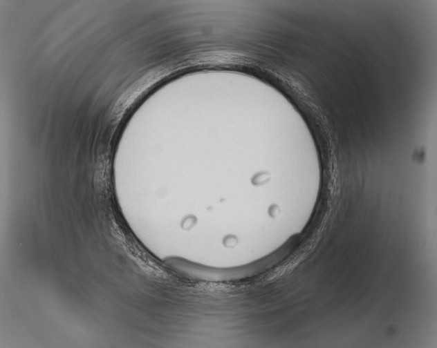 X0000114631073200912011019