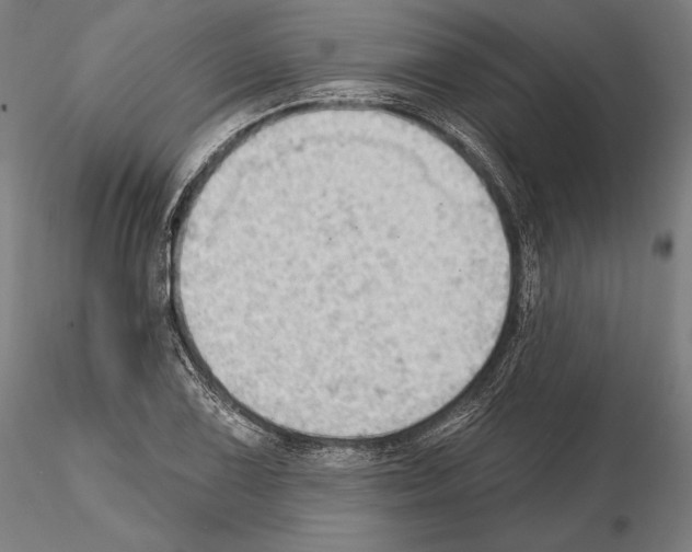 X0000114631075200912011019