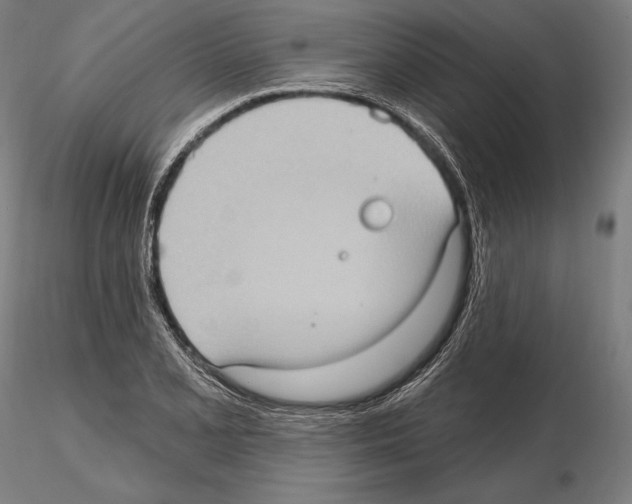 X0000114631077200912011019