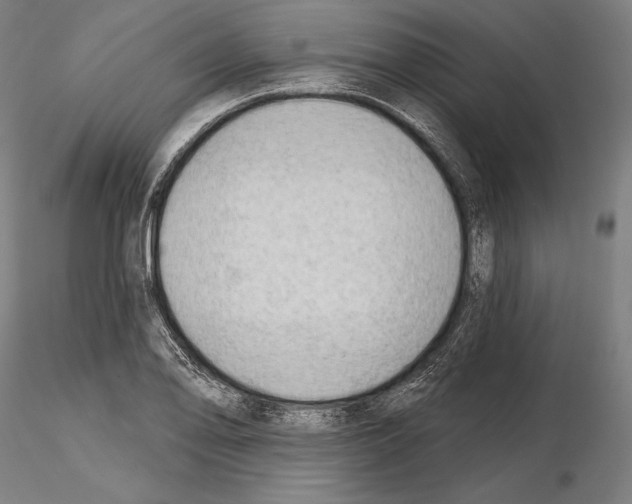 X0000114631078200912011019