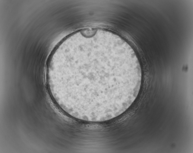 X0000114631079200912011019