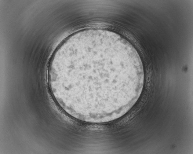 X0000114631083200912011019