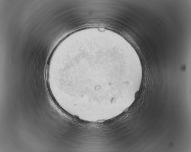 X0000114631084200912011019