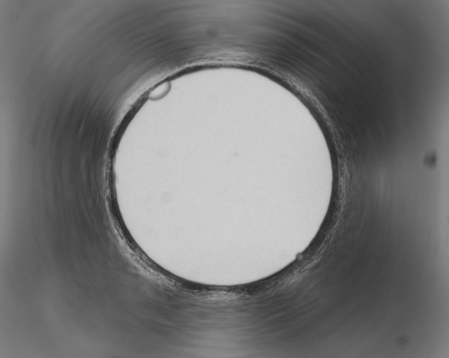 X0000114631085200912011019