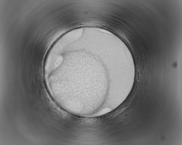 X0000114631087200912011019