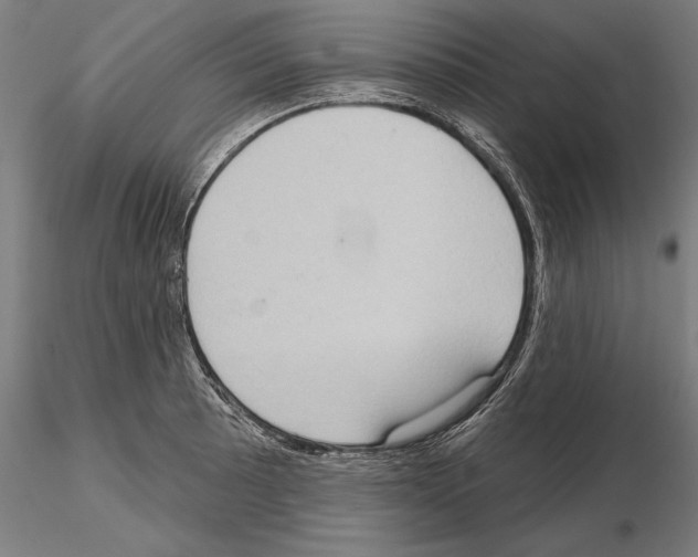 X0000114631089200912011019