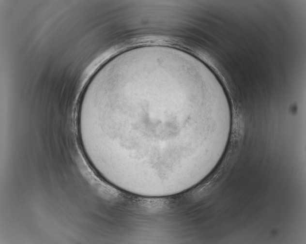 X0000114631090200912011019