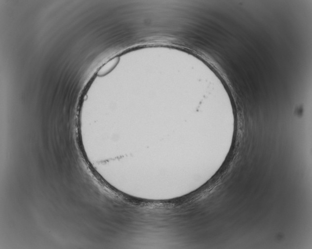 X0000114631093200912011019