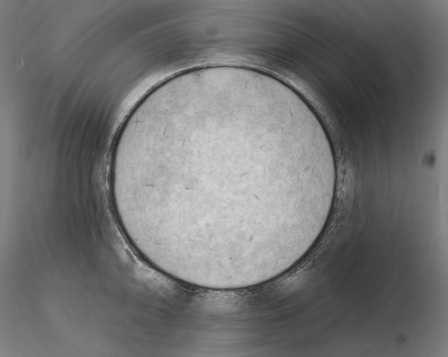 X0000114631094200912011019