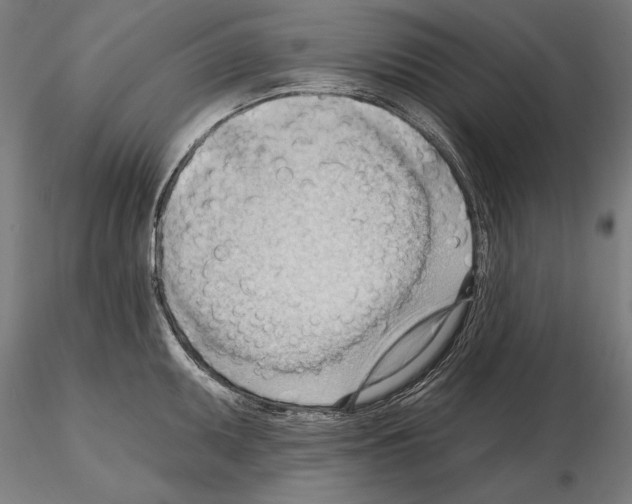 X0000114631095200912011019