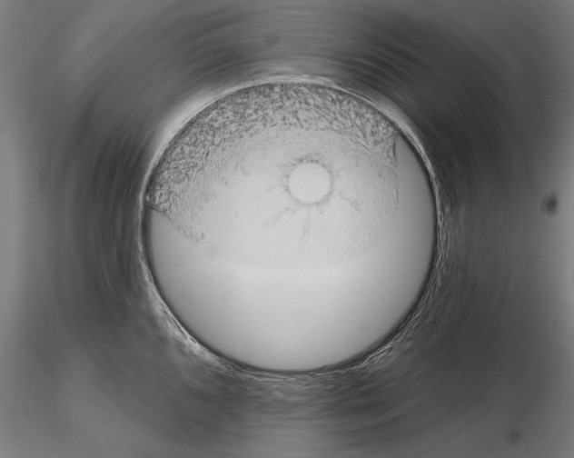 X0000114631096200912011019