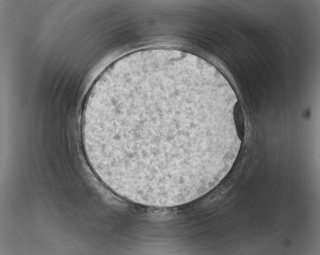 X0000114631099200912011019