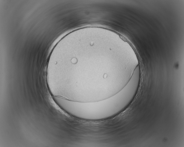 X0000114631100200912011019