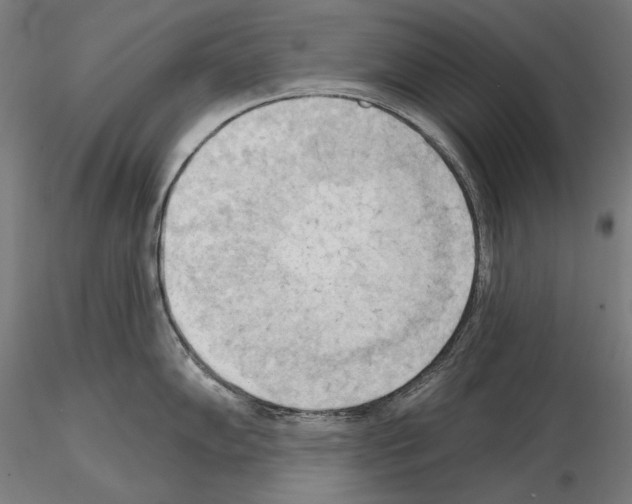 X0000114631102200912011019