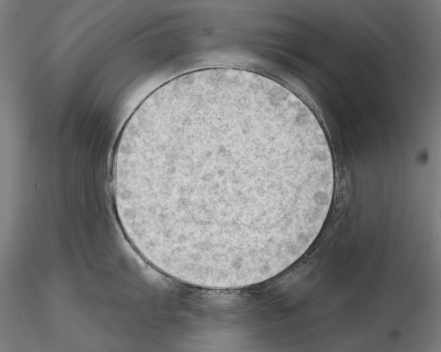 X0000114631103200912011019