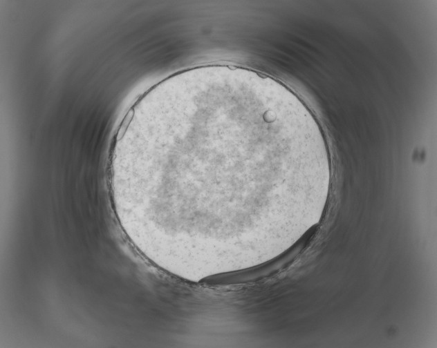 X0000114631104200912011019