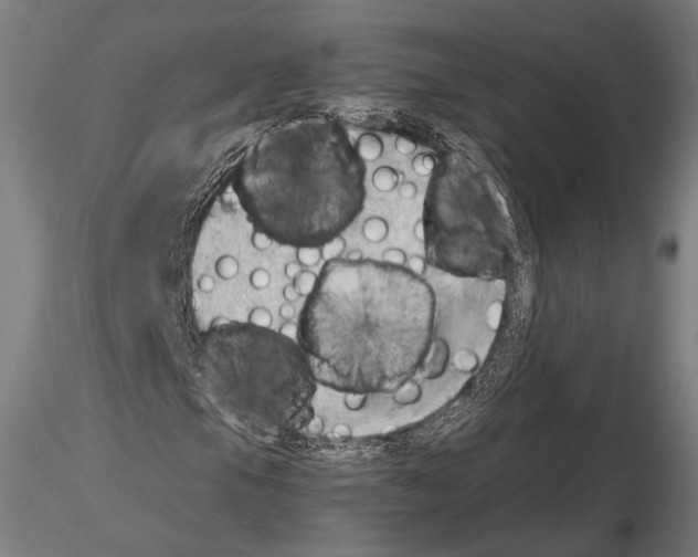 X0000114631105200912011018