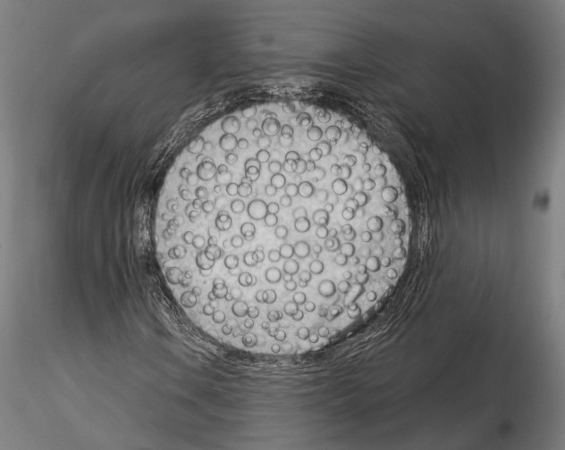 X0000114631106200912011018