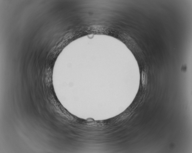 X0000114631107200912011018