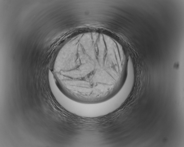 X0000114631110200912011018