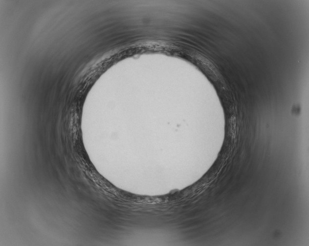 X0000114631111200912011018