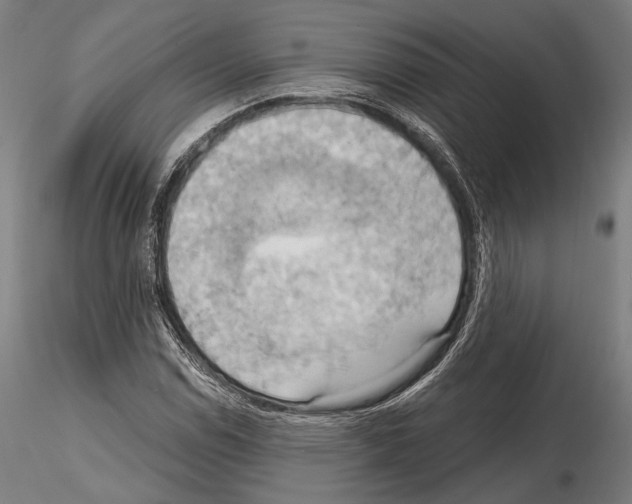 X0000114631114200912011019