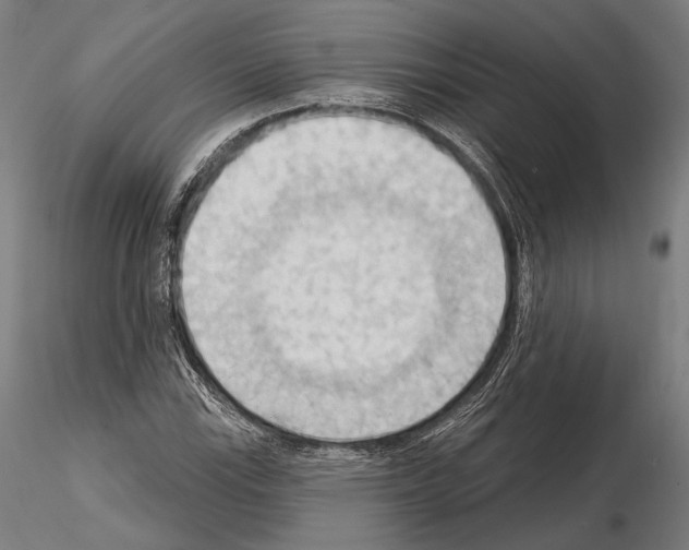 X0000114631115200912011019