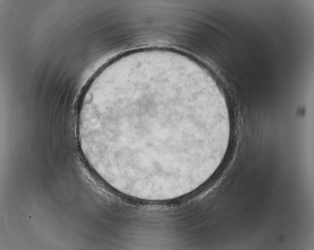 X0000114631118200912011019