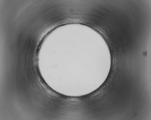 X0000114631119200912011019