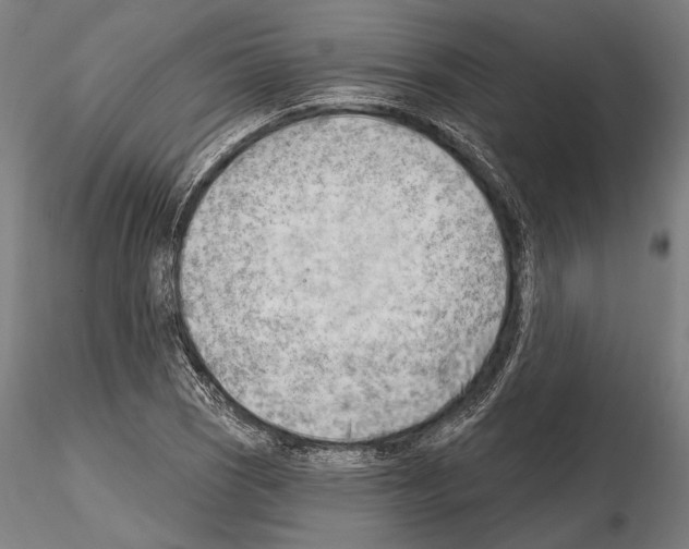 X0000114631121200912011019