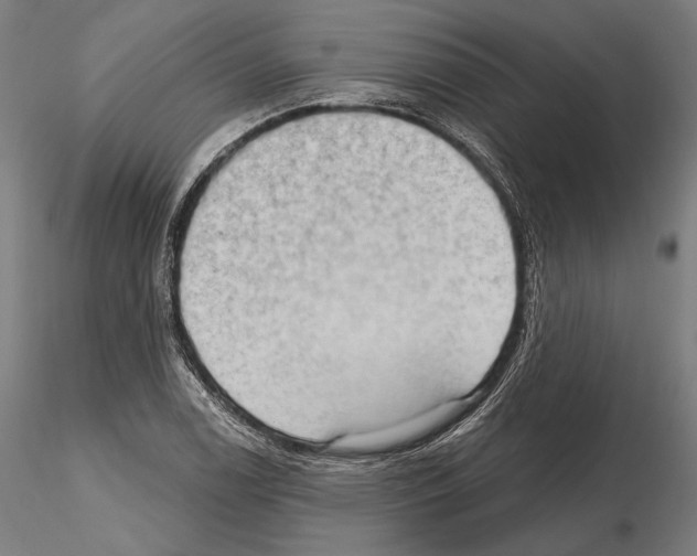 X0000114631122200912011019