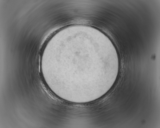 X0000114631123200912011019