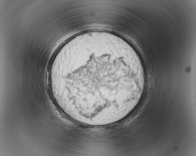 X0000114631125200912011019