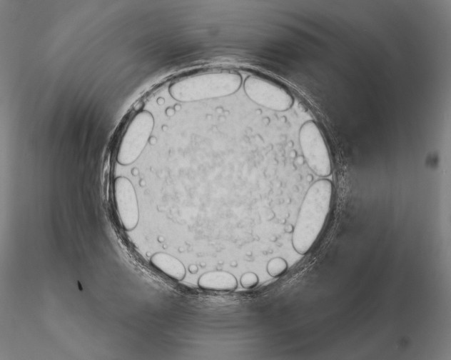 X0000114631126200912011019