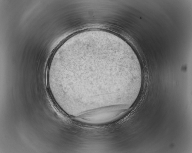 X0000114631127200912011019