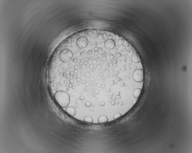 X0000114631130200912011019