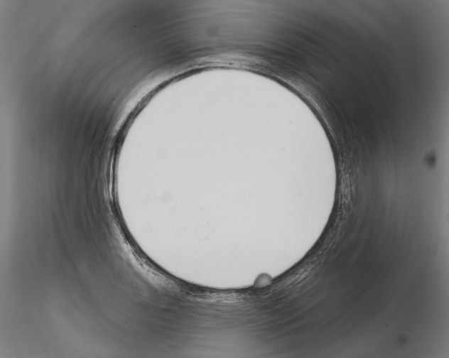 X0000114631131200912011019