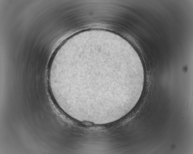 X0000114631133200912011019