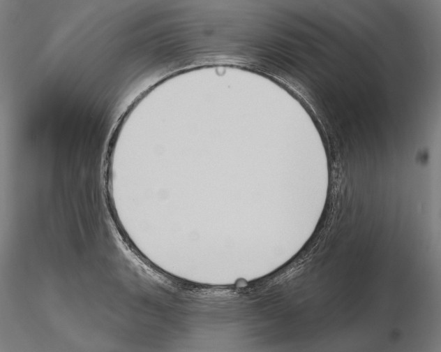 X0000114631135200912011019