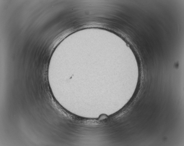 X0000114631137200912011019