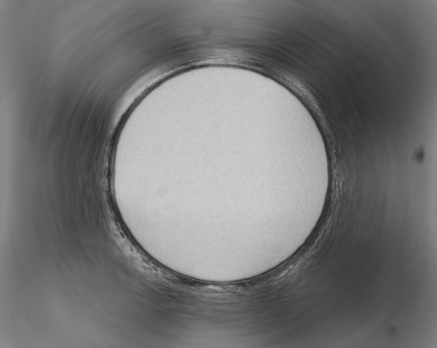 X0000114631138200912011019