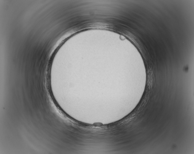 X0000114631139200912011019