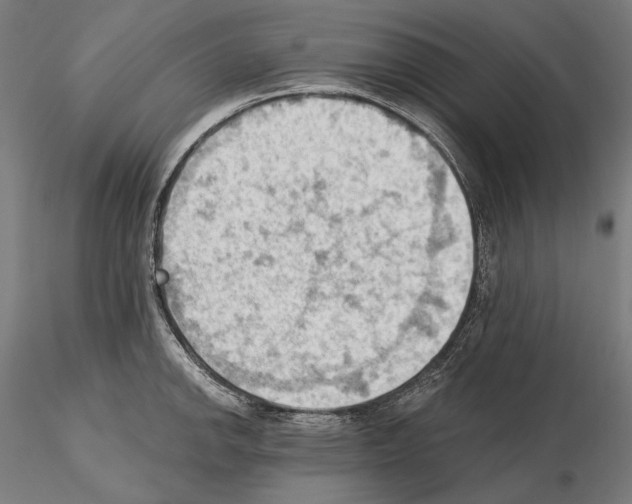 X0000114631142200912011019