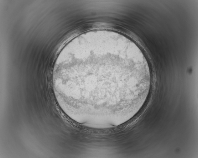 X0000114631145200912011019