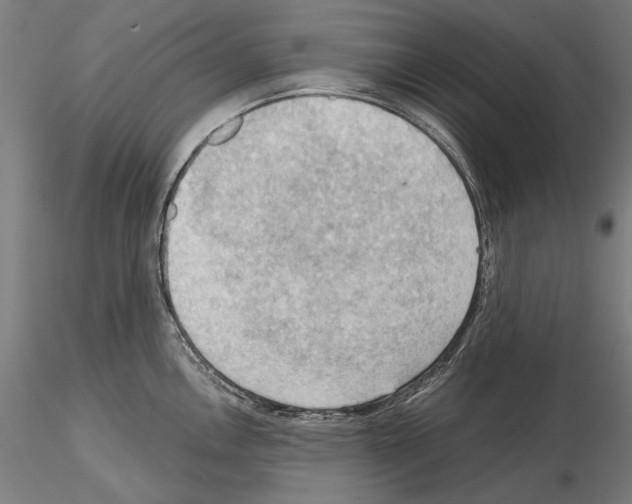 X0000114631146200912011019